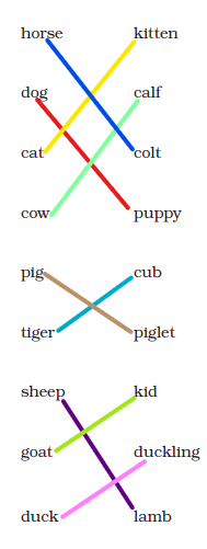 NCERT Solutions Class 3 English Unit 7 Little Tiger, Big Tiger -1