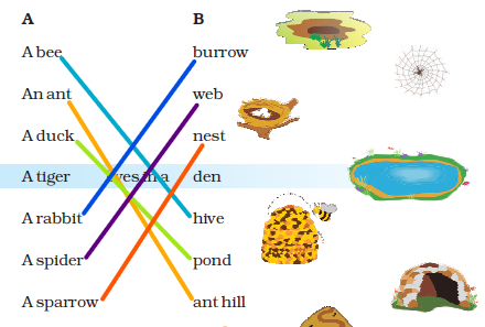 NCERT Solutions Class 3 English Unit 7 Little Tiger, Big Tiger -2