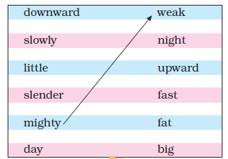 NCERT Solutions Class 3 English Unit 3 Little by Little - 2