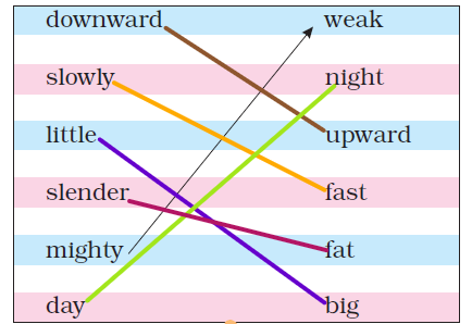 NCERT Solutions Class 3 English Unit 3 Little by Little - 3