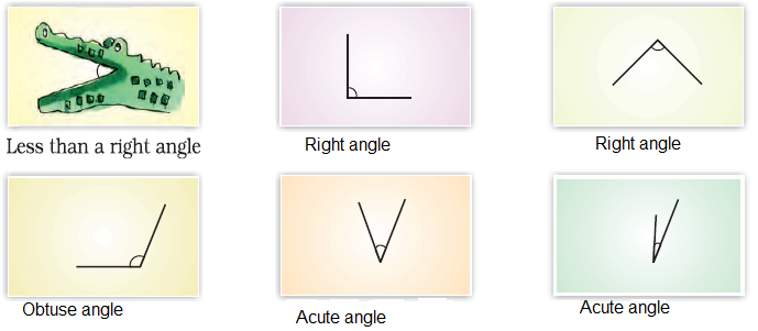 NCERT Solutions For Class 5 Maths Chapter 2 Image 13